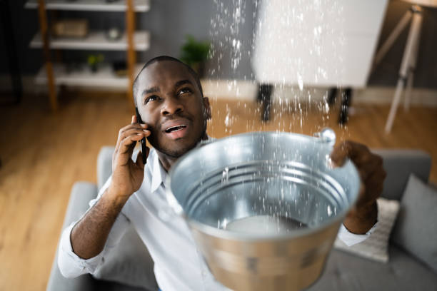 Best Professional water damage repair  in Stanberry, MO