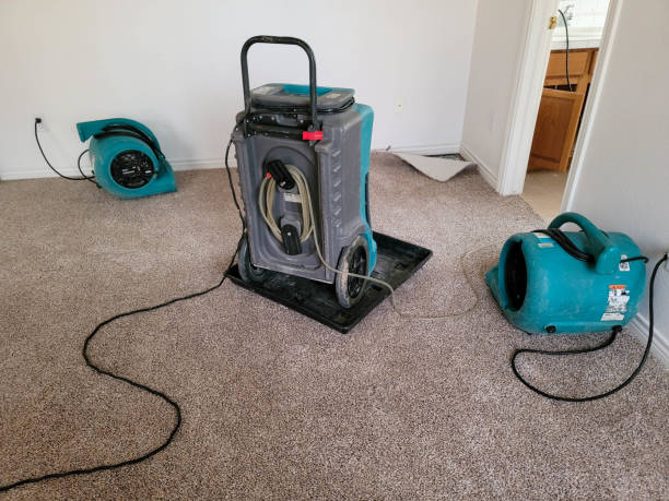 Best Carpet water damage restoration  in Stanberry, MO