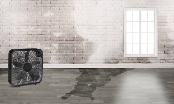 Best Residential water damage restoration  in Stanberry, MO