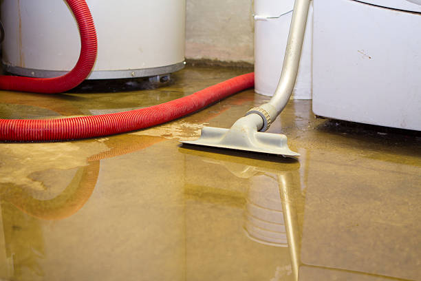 Best Carpet water damage restoration  in Stanberry, MO