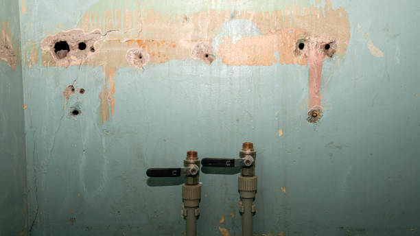 Best Water damage restoration near me  in Stanberry, MO