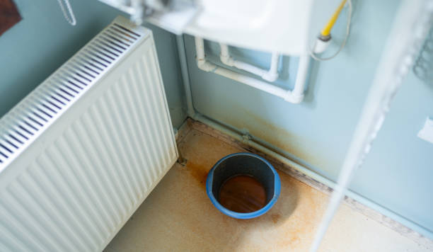 Best Flood restoration services  in Stanberry, MO